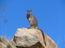 Copyright 2004 Renate Leahy