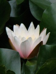 Copyright 2006 Renate Leahy