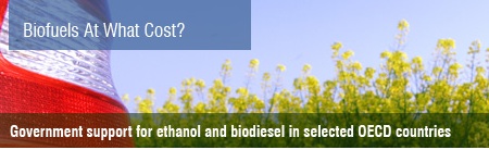 gsi-biofuel.jpg