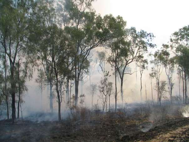 brushfire-oz-2004-copyright-renate-leahy.jpg