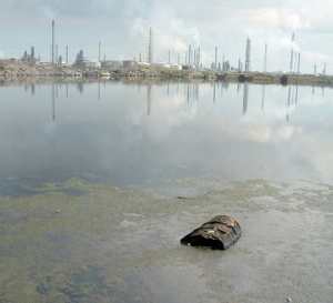 Shell in Curacao, Netherlands - Humane Care Fondation, Curacao