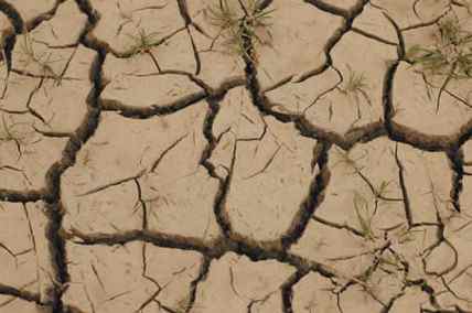 cracked earth cracked earth