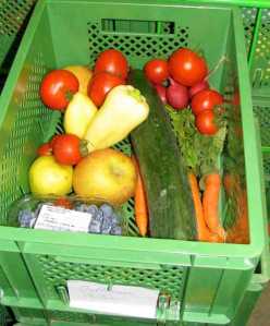 veg food basket