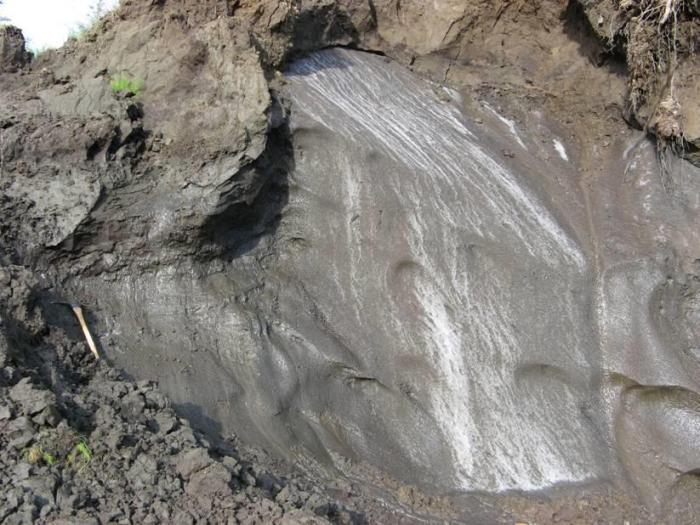 Siberian permafrost -- Ted Schuur