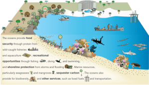 conceptual-diagram sml