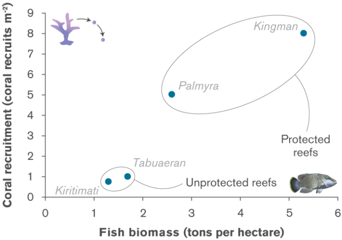 coral-recovery-graph sml