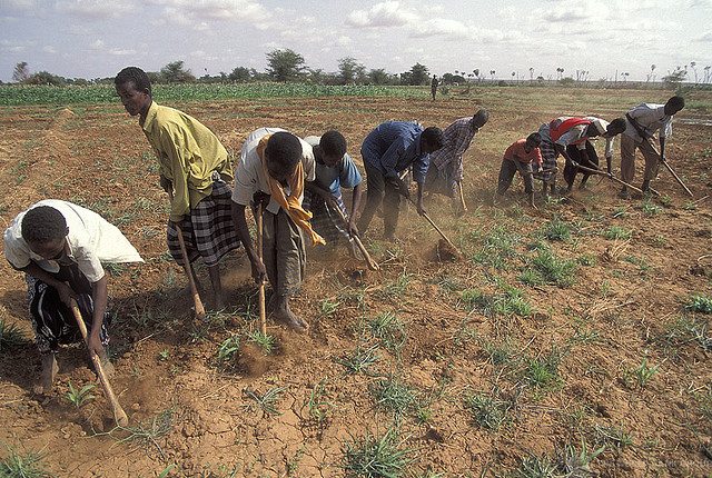 hoeing field kenya - WB