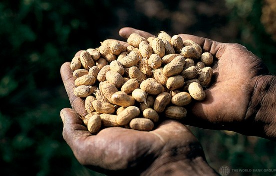 nuts world bank photo