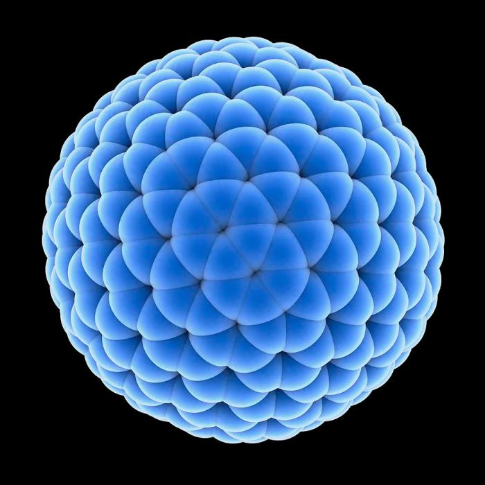 Buckyball Molecule C320, Artwork Laguna Design 